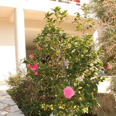 Apartments Vila Marica 拉巴克 外观 照片