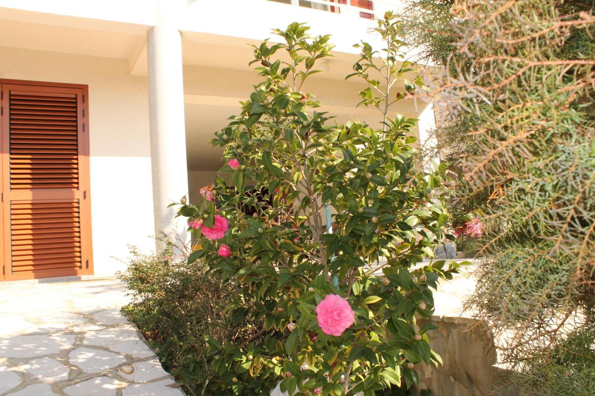 Apartments Vila Marica 拉巴克 外观 照片