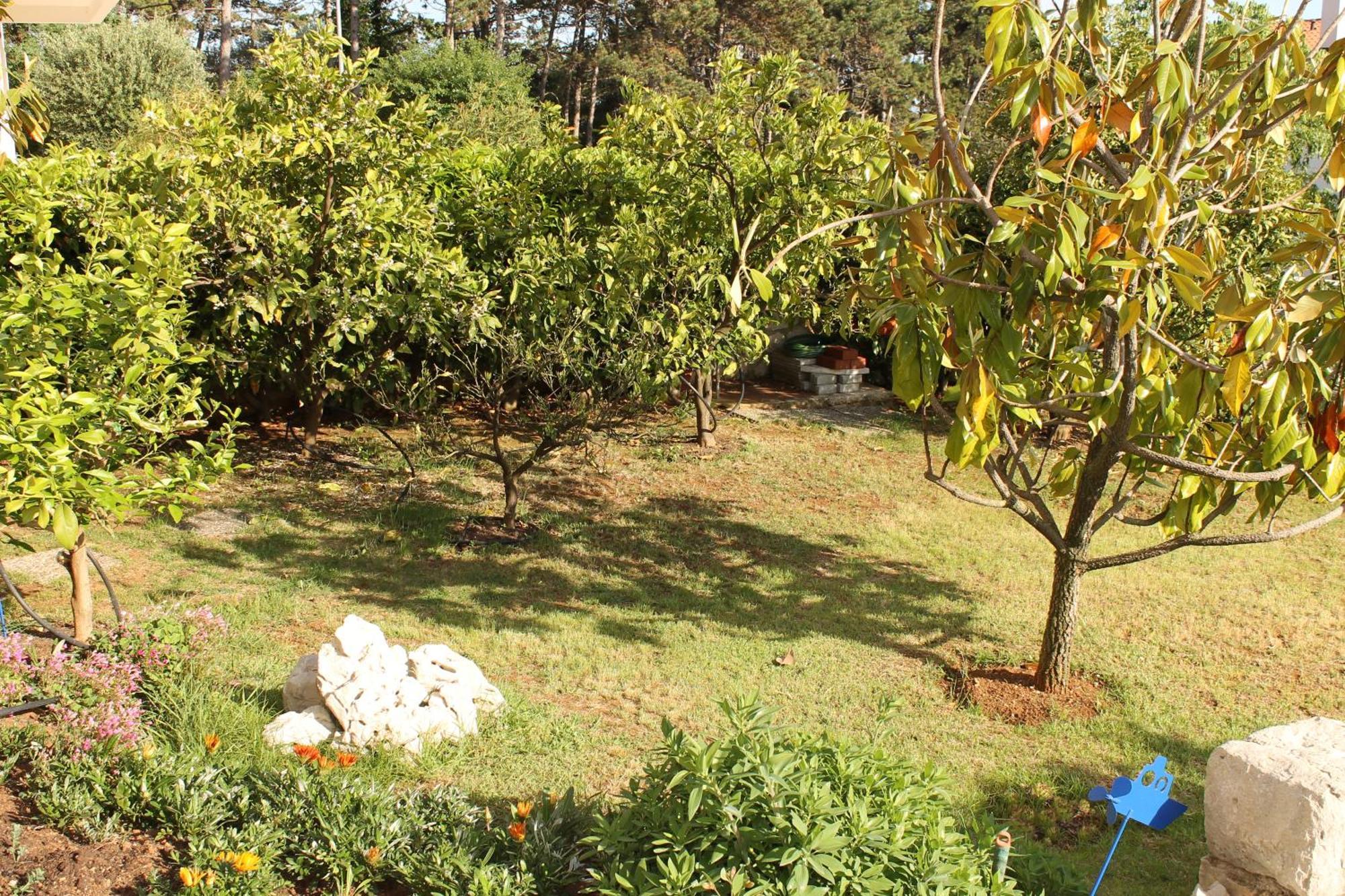Apartments Vila Marica 拉巴克 外观 照片