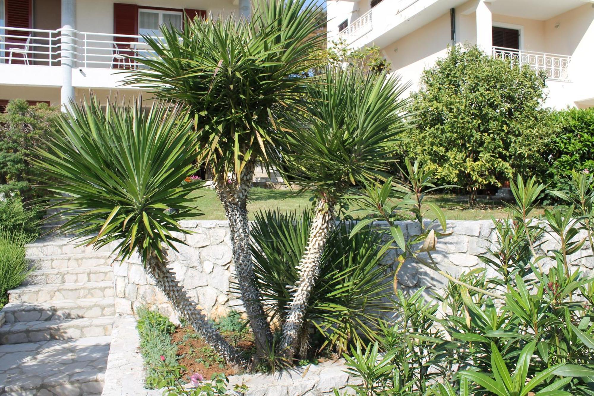 Apartments Vila Marica 拉巴克 外观 照片